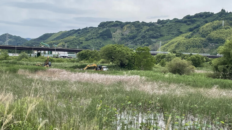 麻機遊水地ってどんな場所？