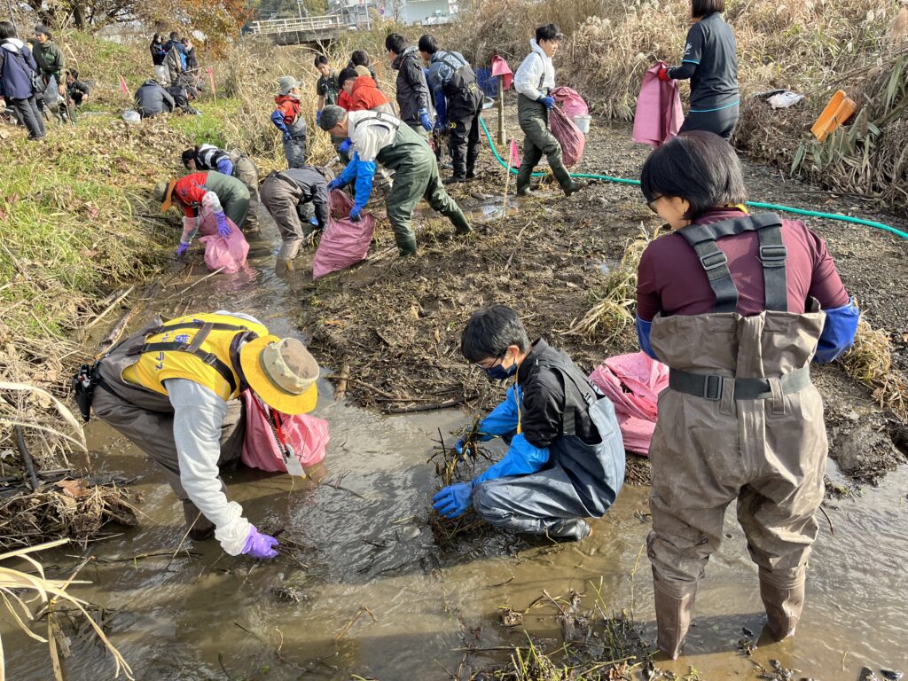 ナガエツルノゲイトウ防除活動