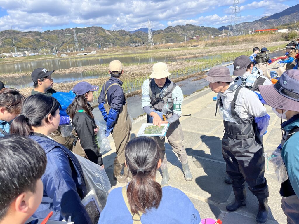 ナガエツルノゲイトウ防除活動