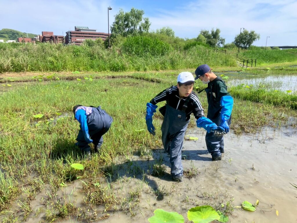 職場体験受け入れ