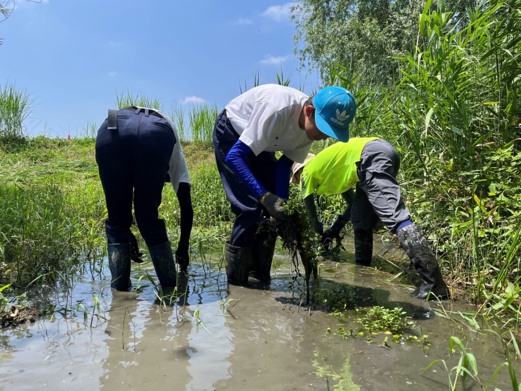 麻機遊水地と生物多様性
