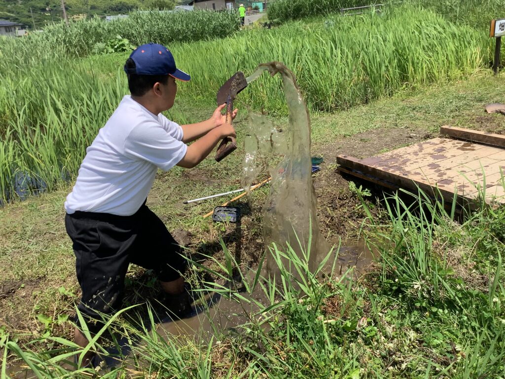 麻機遊水地と生物多様性